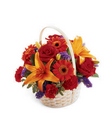 /images/ftd09white/B26-3742S^1lg.jpg Fun in the Sun Basket